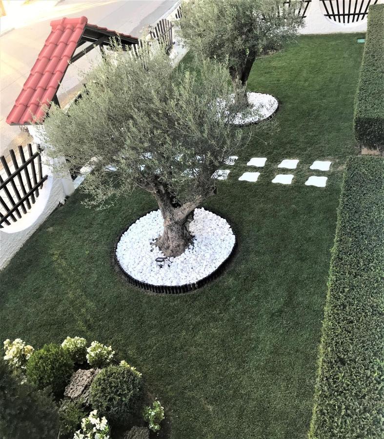 Amaryllis House Daire Platamon Dış mekan fotoğraf