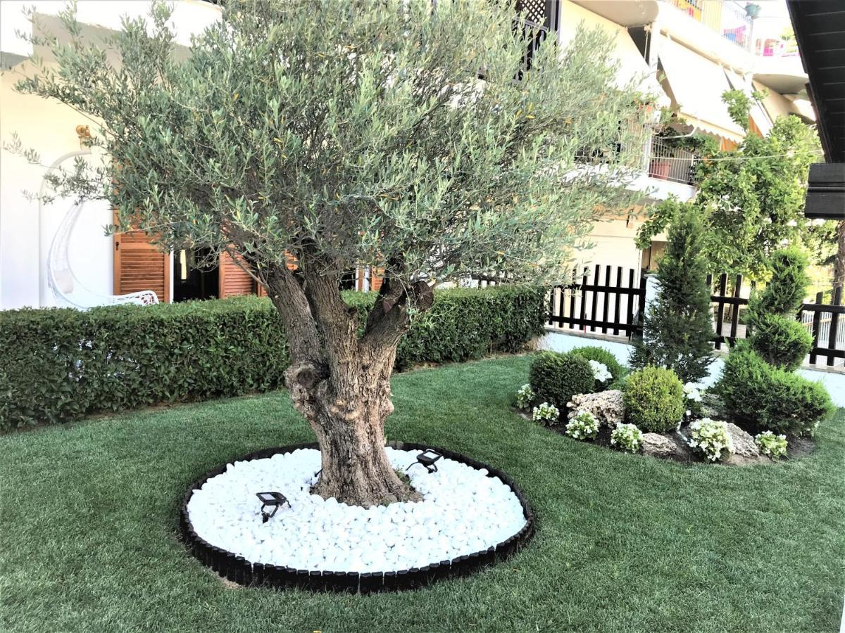 Amaryllis House Daire Platamon Dış mekan fotoğraf